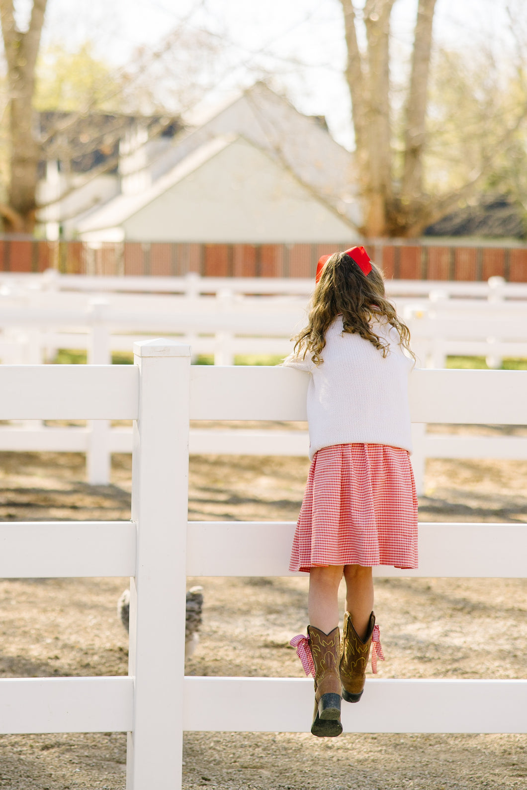 Classic Red Grosgrain Longtail Bow